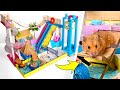 Incroyable parc aquatique pour hamster en carton diy 