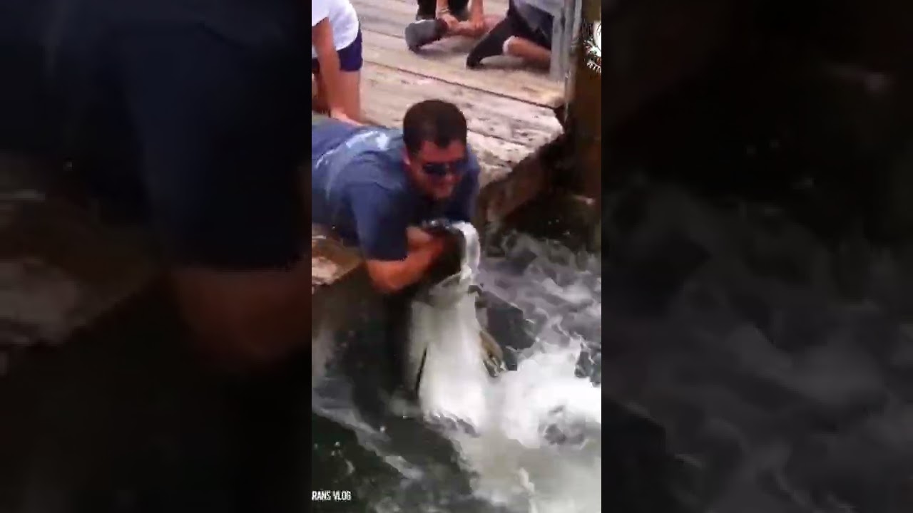 bare hand tarpon fishing