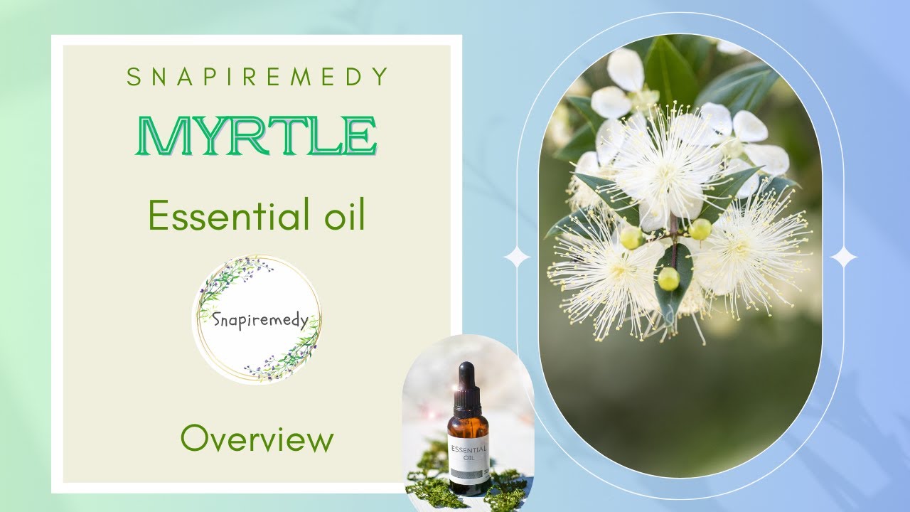 Essential oils: Myrtle | How to use essential oils – Natural remedy | Snapiremedy