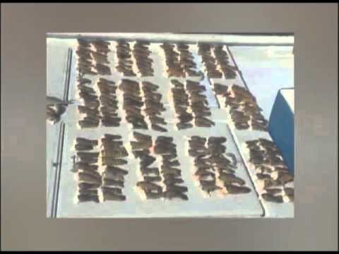 Coast Guard personnel makes lobster bust newspaper mockup