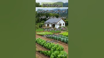 سورة النساء الآية ١٢٧ ²
