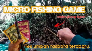 Ada Yang Baru‼️Tes Umpan Rasbora Durian Susu+Pisang Susu💥 Auto Strike Babon🤩😁🤩❗