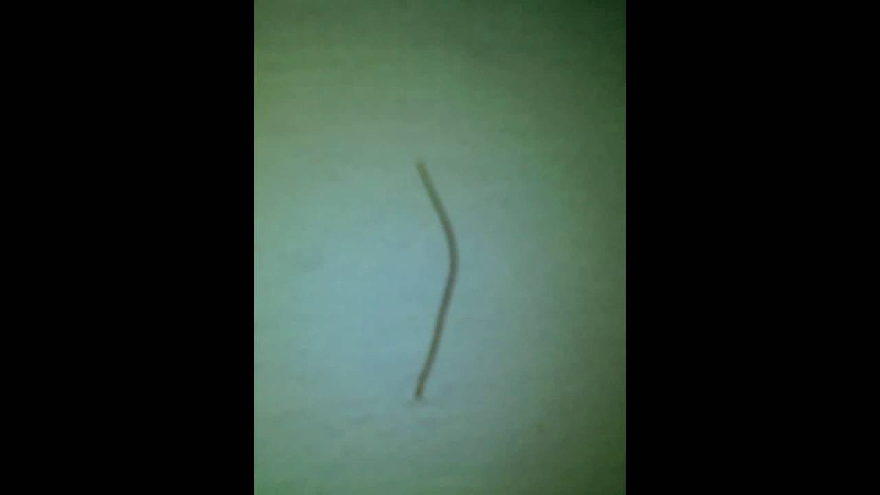 Tembok Rumah Tabran Youtube