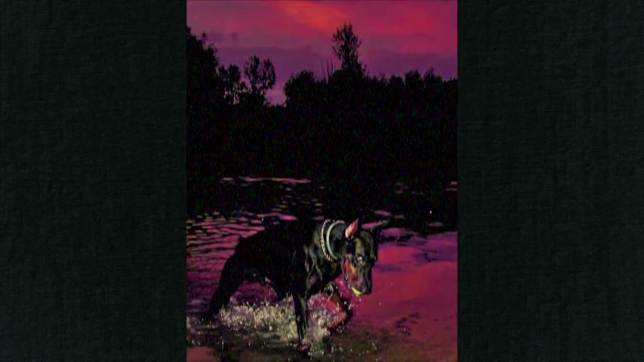 free) hardcore punk x SPY x metal type beat - "I SPY" (prod. SXZU x Capsized)