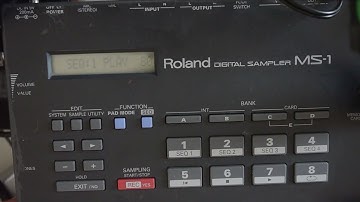 Roland MS-1 Digital Sampler Factory Samples + Sequence