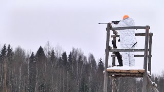 Зимние загоны в Тверской области. Большая загонная охота. Часть 2.