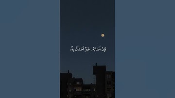 سورة الحج | الشيخ محمد صديق المنشاوي رحمه الله