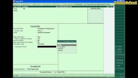 Tally ERP 9 Payroll Accounting Part 01 In Hindi