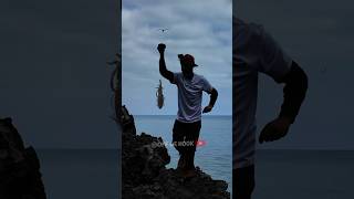 🔥 This Spot Looks FAKE... Karate Chopped 3 Squid To Prove It's Real 🦑