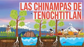 ¿Cómo construían sus chinampas los aztecas?