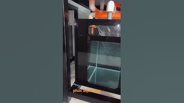 hồ tràn dưới phao cơ quốc dân https://www.facebook.com/share/14oLE7EpUqf/