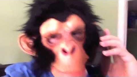 Sh*t Sales Managers Say | Humor... | Is This Your Sales Manager? - Sales Management