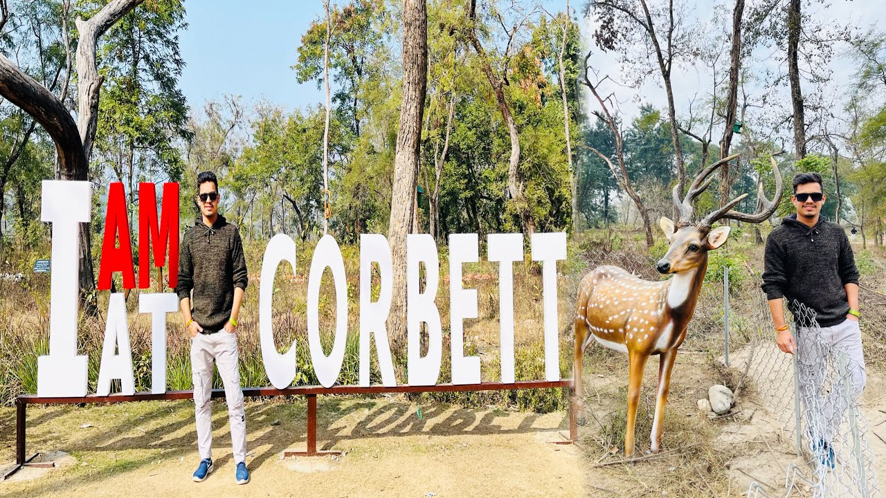 Nagar Van M Dekh Gaya  Tiger 🐅