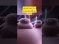 ماذا يحدث لجسمك بعد 72 ساعة صيام الصيام فوائد الصيام الصيام 72 ساعة الأوتوفاجي الخلايا