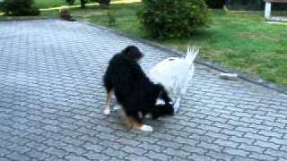DSCF3338.AVI