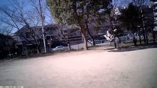 Genius CP V2 01/25/2013 お散歩フライト