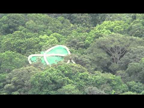 Tl3f La Foret Vue Du Ciel Youtube