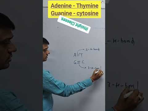 वीडियो: साइटोसिन और थाइमिन क्या है?