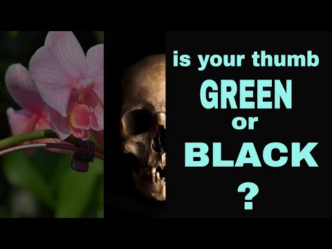 Video: Green Thumb Gardening - Debunking The Myth Of The Green Thumb