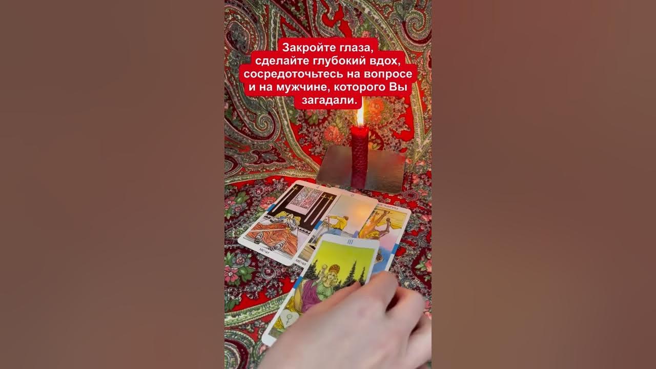 Таро скучает. Таро скучает