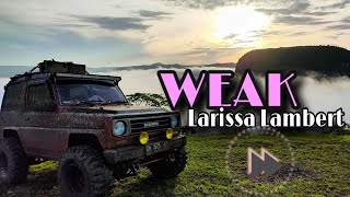 Larissa Lambert - Weak (Lyrics)