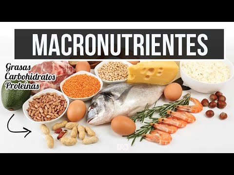 Proteinas, carbohidratos y grasas / información básica sobre los macronutrientes