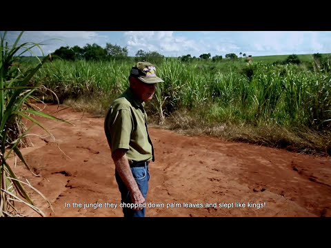 Vārpa - promised land trailer/ Vārpa  - apsolītā zeme, treilers