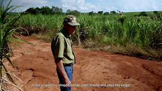 Watch Vārpa - The Promised Land Trailer