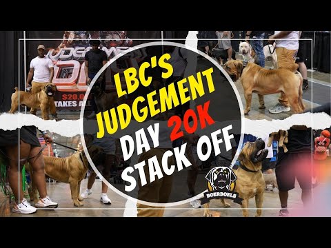 $20,000.00 LBC Judgement