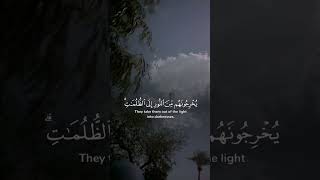 #Quran- #QuranRecitation- #Tilawat- #QuranQuotes- #QuranVerses- #HolyQuran- #Kalamullah