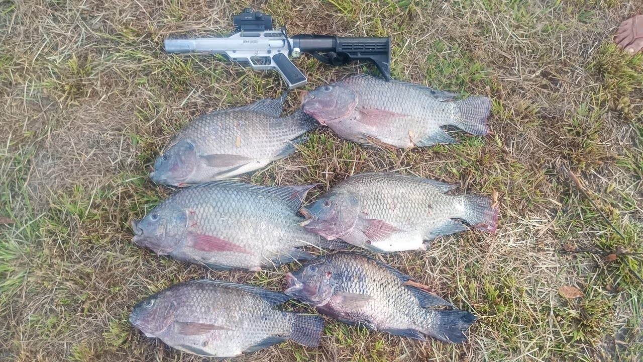 DOMINGÃO COM ATX2 FAZENDO CAPTURA 🔝