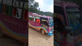 aksi kren sopir bus viqueque-Timor leste saat melewati jalan berlumpur