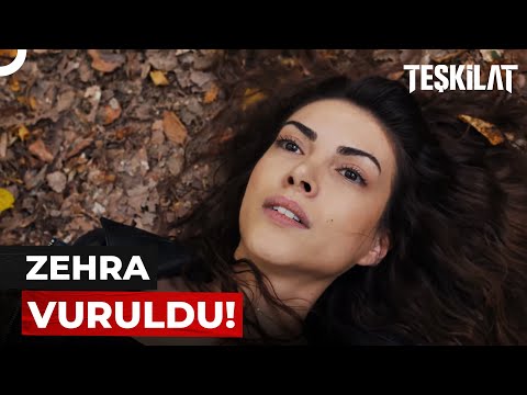 Francis, Zehra'yı Vurdu! | Teşkilat 53. Bölüm