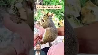 #animals #cute #wildlife #pets #squirrel #love #animalrescue #wholesome #touching #shortvideo