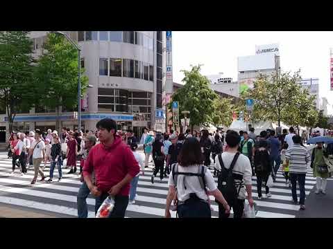 【北の恵み　食べマルシェ2018】４条通の様子①