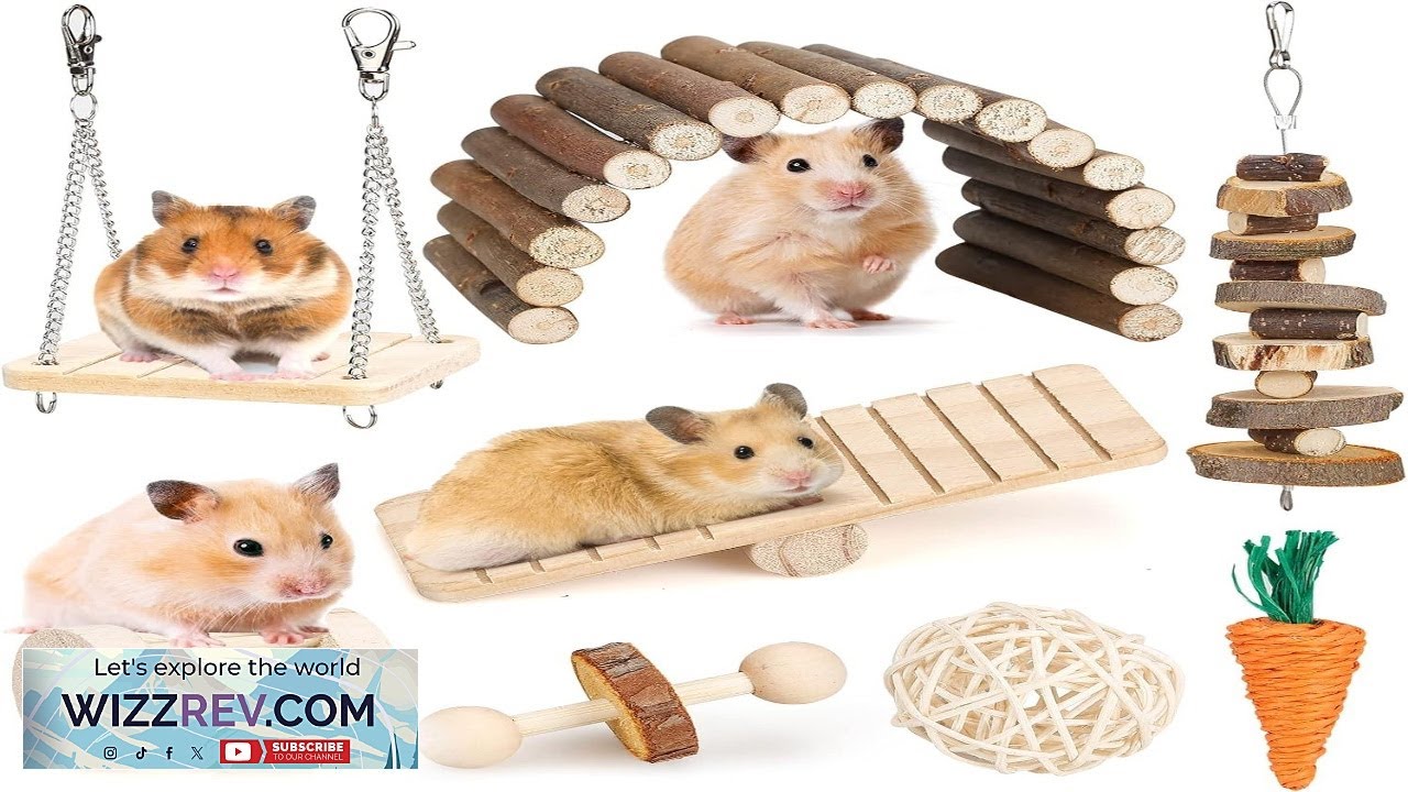 Набор жевательных игрушек для хомяков, игрушки для моляров мелких животных, уход за зубами, дерев...