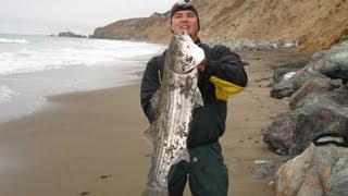 On this day i catch "monster striper" the beach using a light tackle
rod while surf fishing / fishing,,,,this was just another one of my
awesom...