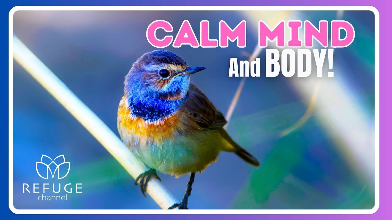 CALM MIND AND BODY, RELAXING MUSIC FOR SLEEP! Live 12 hours - YouTube