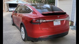 Celebrity Day 547 Tesla Ruby The Readjustment Profile