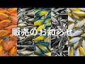 α-SHAD 第4ロット販売のお知らせです。