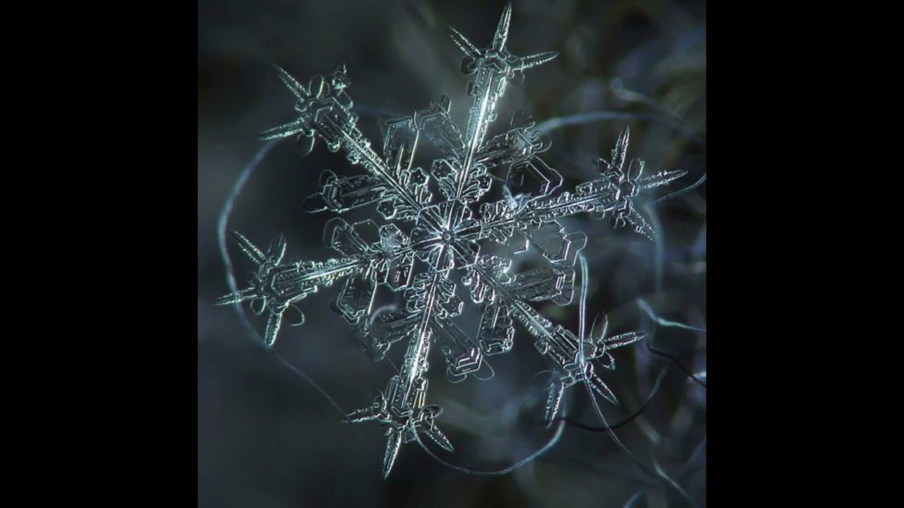 Libérée Délivrée - Frozen (ending) (slowed)