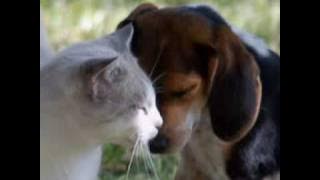 ♥♫ I just called to say I love you - GHEORGHE ZAMFIR♥♫