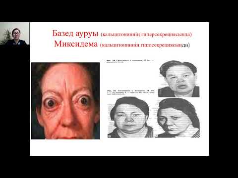 Бейне: Неліктен ішкі секреция бездері түтіксіз бездер деп аталады?