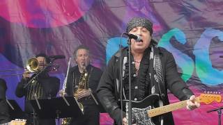 Little Steven &amp; The Disciples of Soul (Full Concert) @ Puistoblues 2017, Finland