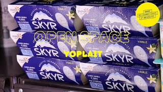 Open Space : le chef de secteur, ambassadeur de marques chez Yoplait
