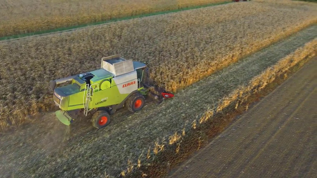 Moisson de Maïs 2017 | Claas Lexion 670