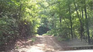 Why I Love Forest Roads 1