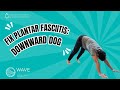 Downdog For Plantar Fasciitis