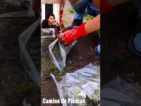 Video: Cómo hacer caminos de jardín con tus propias manos: recomendaciones