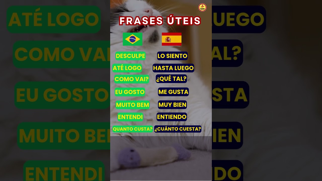 📚7 Frases que Todo Mundo Usa na Espanha 